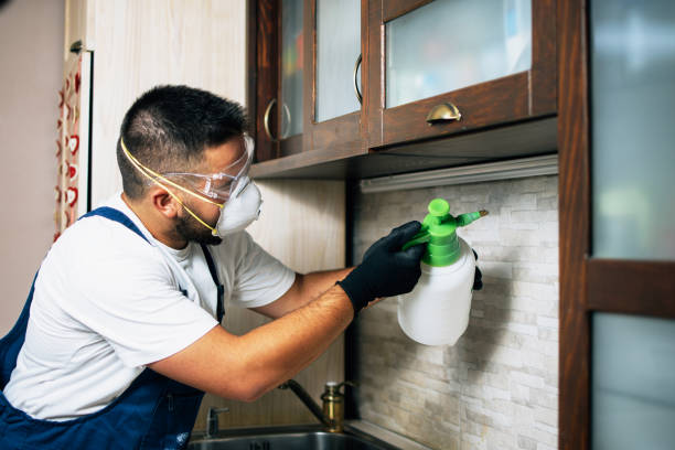 Best Insect Control  in Lincoln City, OR