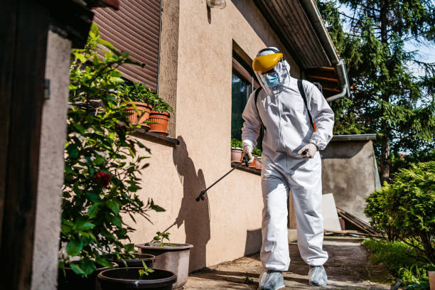 Best Best Pest Control Companies  in Lincoln City, OR