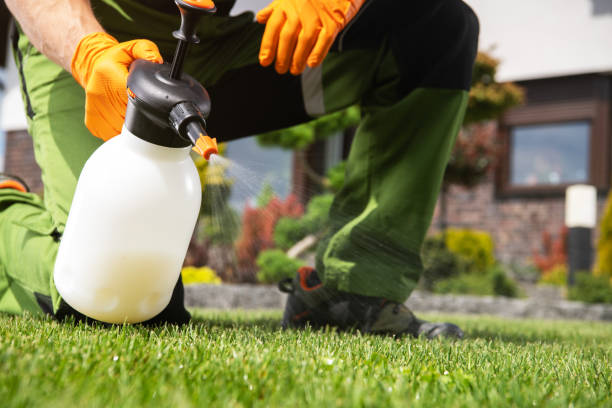 Best Residential Pest Control  in Lincoln City, OR