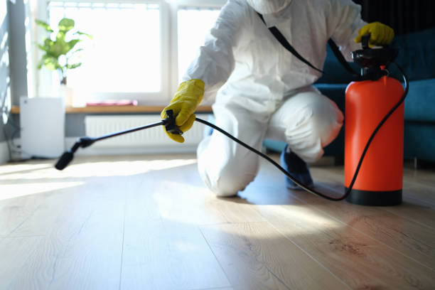 Trusted Lincoln City, OR Pest Control Experts