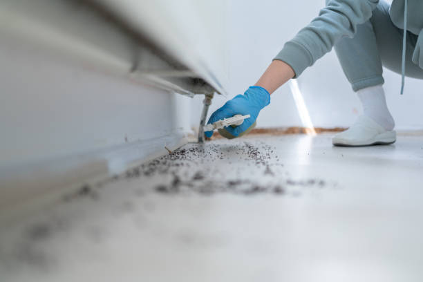 Best Pest Control Near Me  in Lincoln City, OR